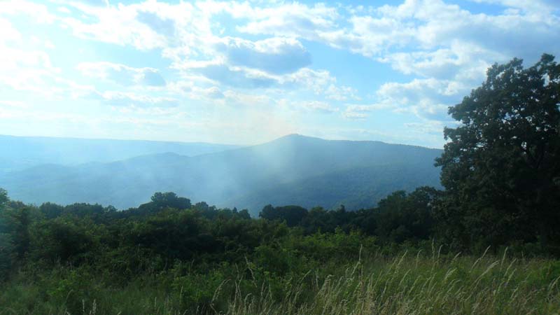 smokje