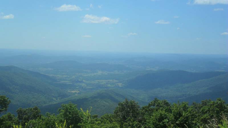 view