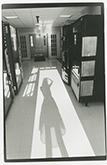 Shadow 5