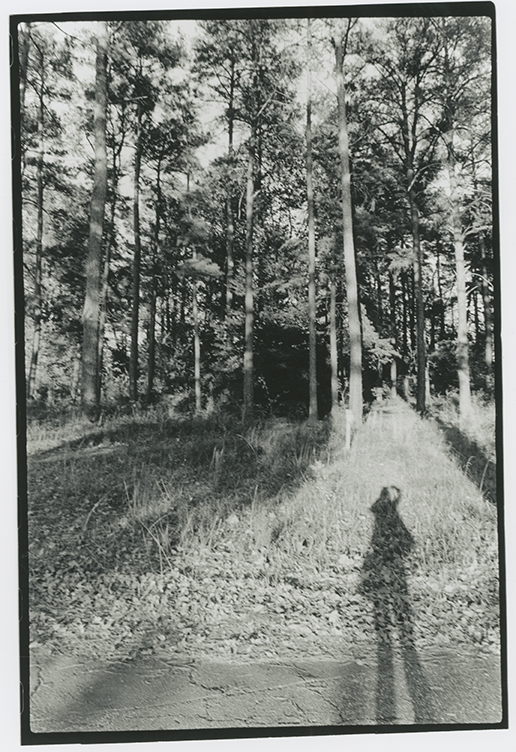 shadow