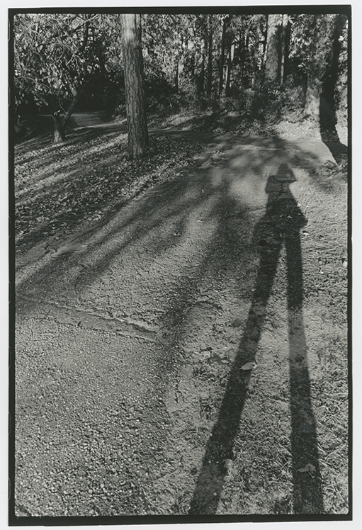shadow