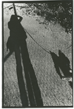 Shadow