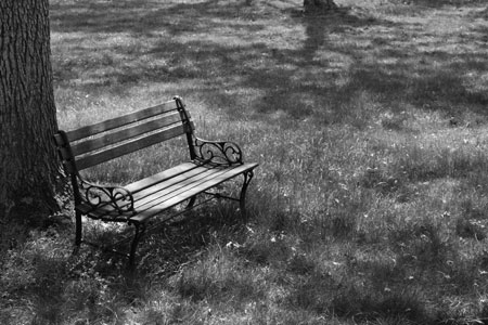 BW Bench